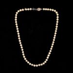 981 6491 PEARL NECKLACE